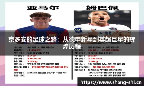 京多安的足球之路：从德甲新星到英超巨星的辉煌历程